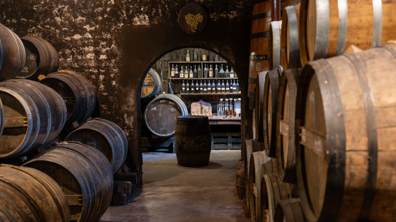 How to Build a Wine Collection That Gets Better Over Time