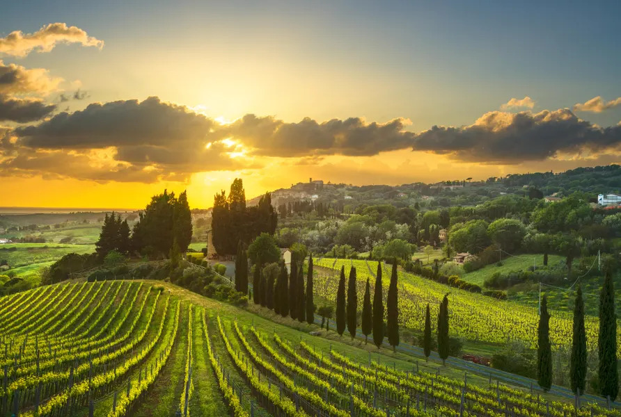 Why We Do What We Do: Our Vino-Tasting Story
